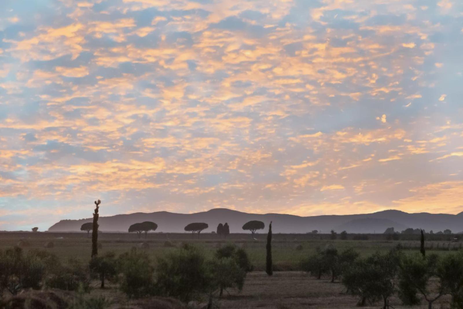 Casale Oliveta Villa Orbetello Dış mekan fotoğraf